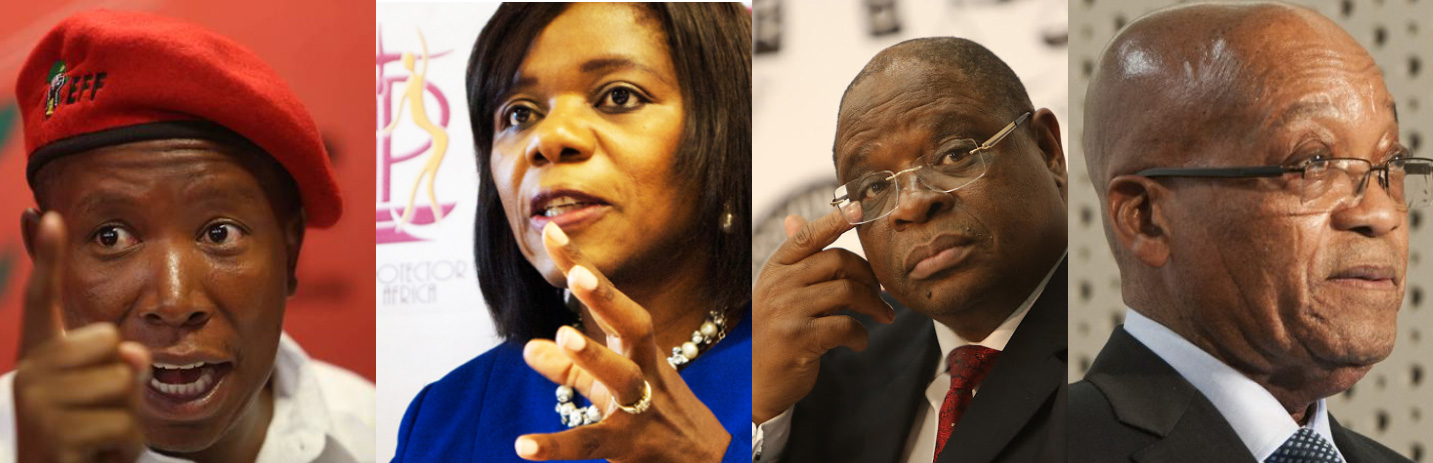 MALEMA MADONSELA ZONDO ZUMA VS. MIKE STAINBANK